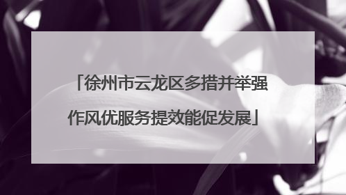 徐州市云龙区多措并举强作风优服务提效能促发展