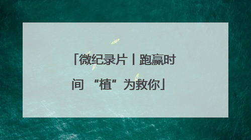 微纪录片丨跑赢时间 “植”为救你