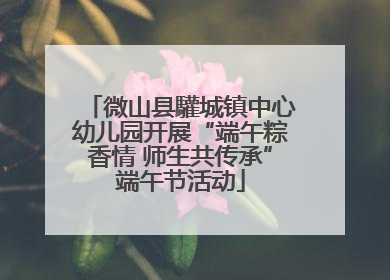 微山县驩城镇中心幼儿园开展“端午粽香情 师生共传承”端午节活动