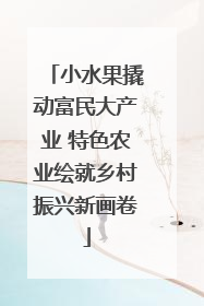 小水果撬动富民大产业 特色农业绘就乡村振兴新画卷