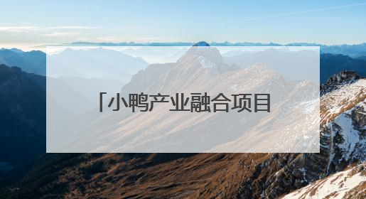 小鸭产业融合项目：通过“厂区改造+产业置换”，盘活存量，增值增效