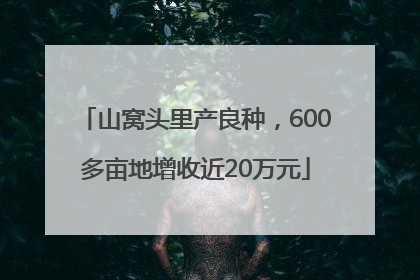 山窝头里产良种，600多亩地增收近20万元