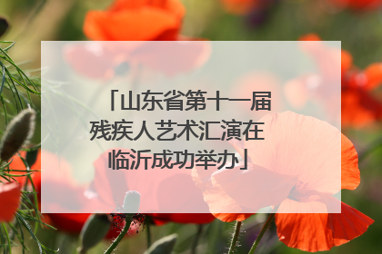 山东省第十一届残疾人艺术汇演在临沂成功举办