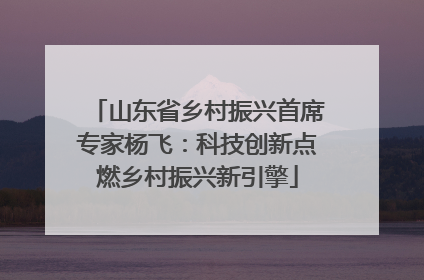 山东省乡村振兴首席专家杨飞：科技创新点燃乡村振兴新引擎