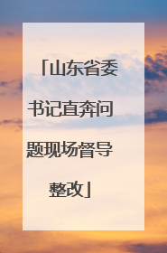 山东省委书记直奔问题现场督导整改