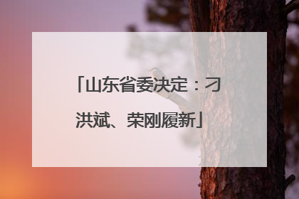 山东省委决定：刁洪斌、荣刚履新