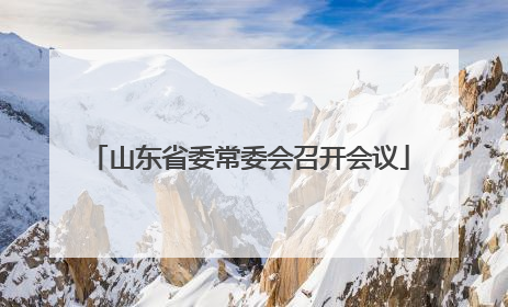 山东省委常委会召开会议
