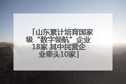 山东累计培育国家级“数字领航”企业18家 其中民营企业牵头10家
