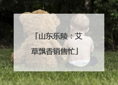 山东乐陵：艾草飘香销售忙