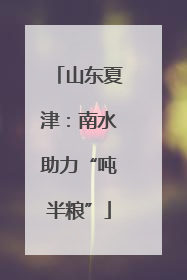 山东夏津：南水助力“吨半粮”