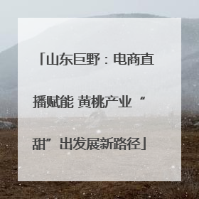 山东巨野：电商直播赋能 黄桃产业“甜”出发展新路径