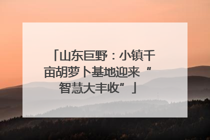 山东巨野：小镇千亩胡萝卜基地迎来“智慧大丰收”