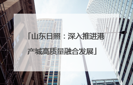 山东日照：深入推进港产城高质量融合发展