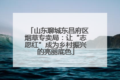 山东聊城东昌府区烟草专卖局：让“志愿红”成为乡村振兴的亮丽底色