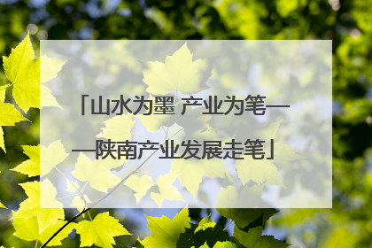 山水为墨 产业为笔——陕南产业发展走笔