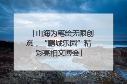 山海为笔绘无限创意，“鹏城乐园”精彩亮相文博会