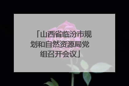 山西省临汾市规划和自然资源局党组召开会议