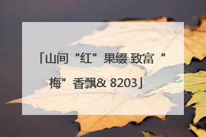 山间“红”果缀 致富“梅”香飘& 8203