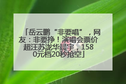 岳云鹏“非要唱”，网友：非要挣！演唱会票价超汪苏泷华晨宇，1580元档20秒抢空