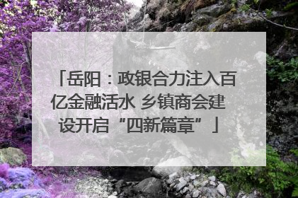 岳阳：政银合力注入百亿金融活水 乡镇商会建设开启“四新篇章”