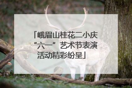 峨眉山桂花二小庆“六一”艺术节表演活动精彩纷呈