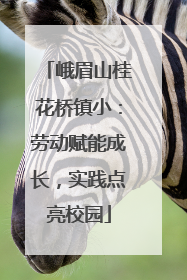 峨眉山桂花桥镇小：劳动赋能成长，实践点亮校园