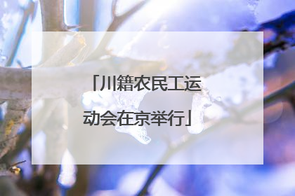 川籍农民工运动会在京举行