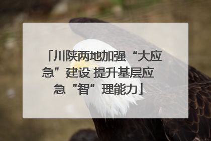 川陕两地加强“大应急”建设 提升基层应急“智”理能力