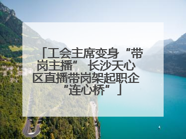 工会主席变身“带岗主播” 长沙天心区直播带岗架起职企“连心桥”