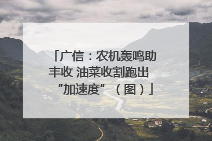 广信：农机轰鸣助丰收 油菜收割跑出“加速度”（图）