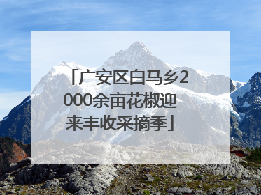 广安区白马乡2000余亩花椒迎来丰收采摘季