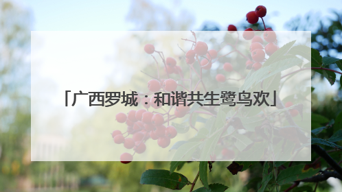 广西罗城：和谐共生鹭鸟欢