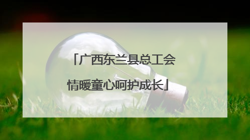 广西东兰县总工会情暖童心呵护成长