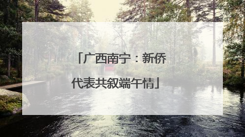 广西南宁：新侨代表共叙端午情