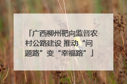 广西柳州靶向监督农村公路建设 推动“问题路”变“幸福路”