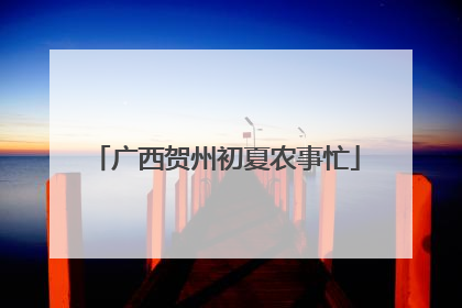 广西贺州初夏农事忙