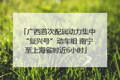 广西首次配属动力集中“复兴号”动车组 南宁至上海省时近6小时