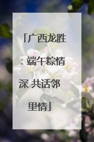 广西龙胜：端午粽情深 共话邻里情