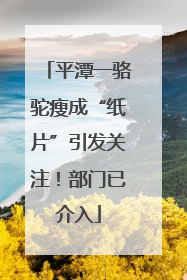平潭一骆驼瘦成“纸片”引发关注！部门已介入