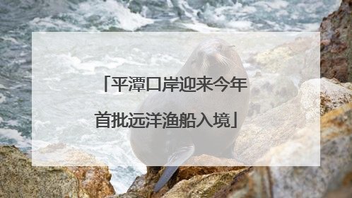 平潭口岸迎来今年首批远洋渔船入境