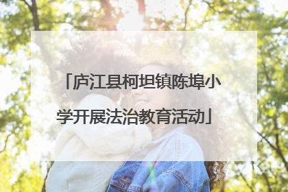 庐江县柯坦镇陈埠小学开展法治教育活动
