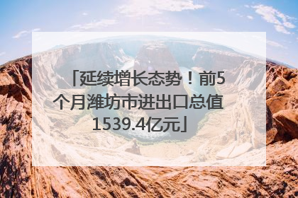 延续增长态势！前5个月潍坊市进出口总值1539.4亿元