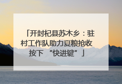 开封杞县苏木乡：驻村工作队助力夏粮抢收按下 “快进键”