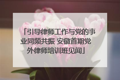 引导律师工作与党的事业同频共振 安徽首期党外律师培训班见闻
