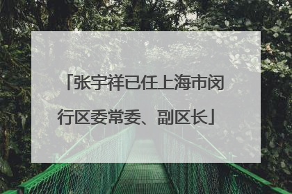 张宇祥已任上海市闵行区委常委、副区长
