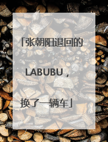 张朝阳退回的LABUBU，换了一辆车