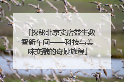 探秘北京窦店益生数智新车间——科技与美味交融的奇妙旅程