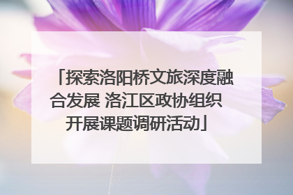 探索洛阳桥文旅深度融合发展 洛江区政协组织开展课题调研活动