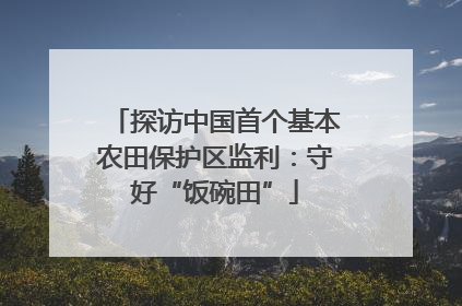 探访中国首个基本农田保护区监利：守好“饭碗田”