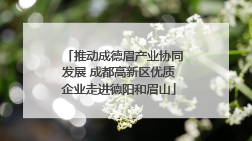 推动成德眉产业协同发展 成都高新区优质企业走进德阳和眉山